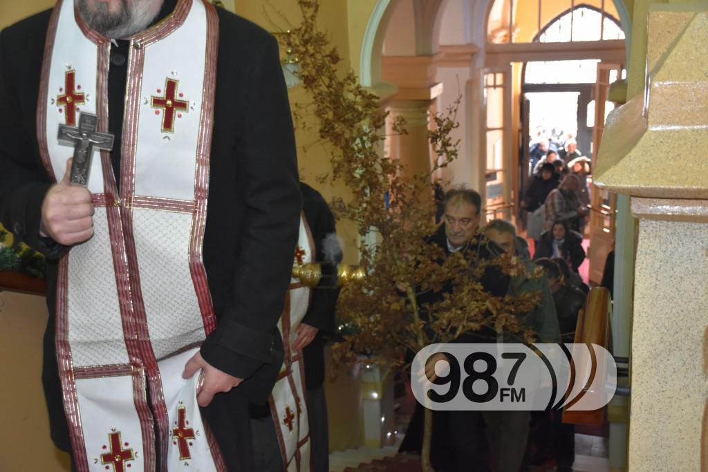 Unosenje badnjaka u opstinu, Apatin, januar 2017 (10)