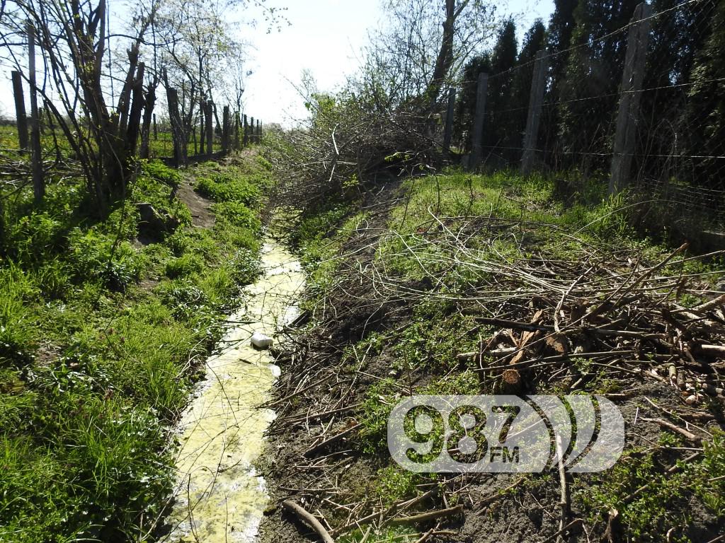ciscenje kanala svilojevo (2)