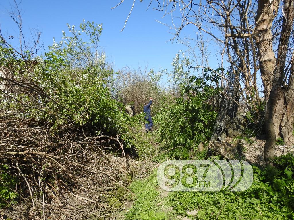 ciscenje kanala svilojevo (3)