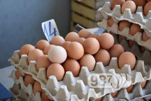 kokosija jaja, pijca apatin (1)