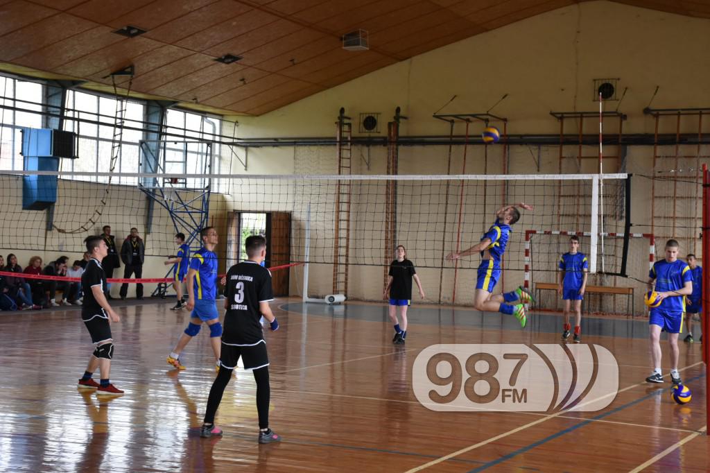 DOMIJADA , APATIN 2017, ODBOJKA