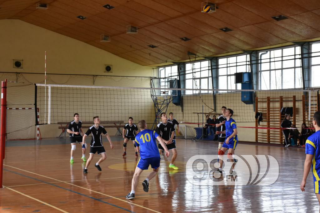 DOMIJADA , APATIN 2017, ODBOJKA