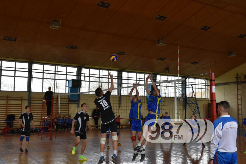 DOMIJADA , APATIN 2017, ODBOJKA