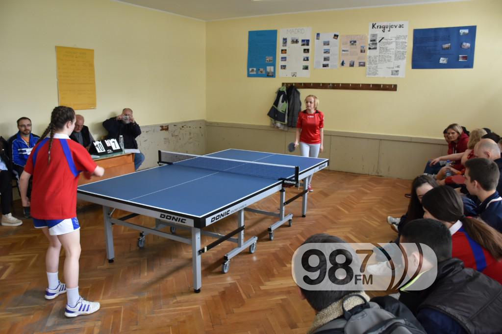 DOMIJADA , APATIN 2017, STONI TENIS