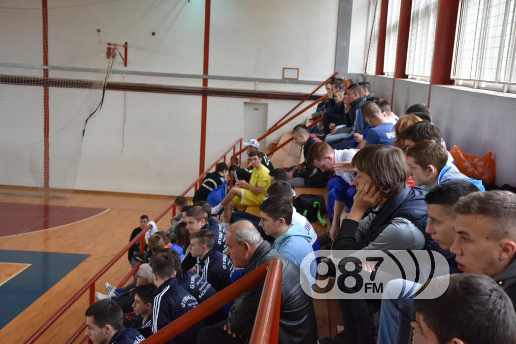 DOMIJADA , APATIN 2017, FUDBAL