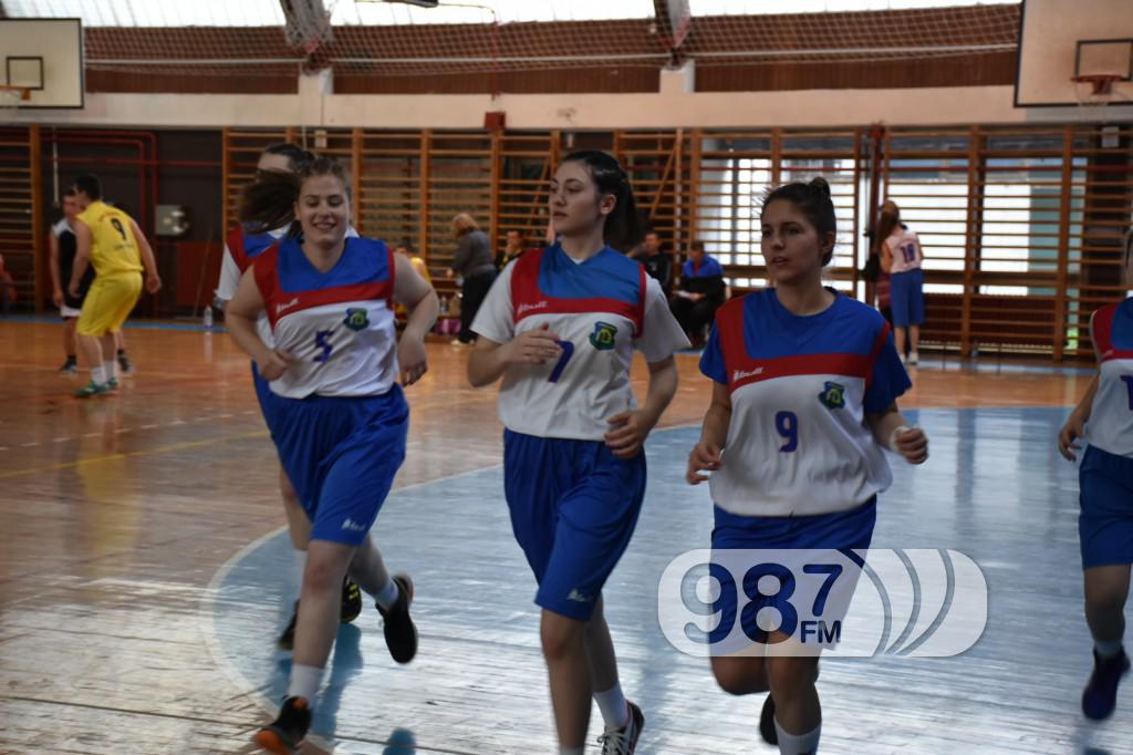 DOMIJADA , APATIN 2017, KOŠARKA