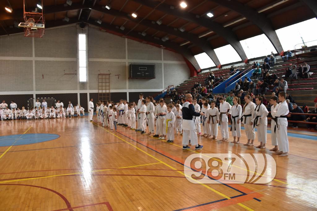 KARATE KLUB PARTIZAN, 40 RODJENDAN (4)