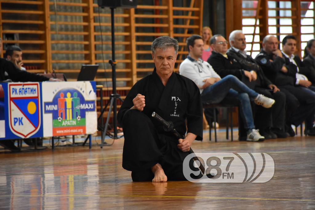 KARATE KLUB PARTIZAN, 40 RODJENDAN (51)