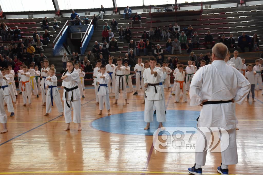 KARATE KLUB PARTIZAN, 40 RODJENDAN (57)
