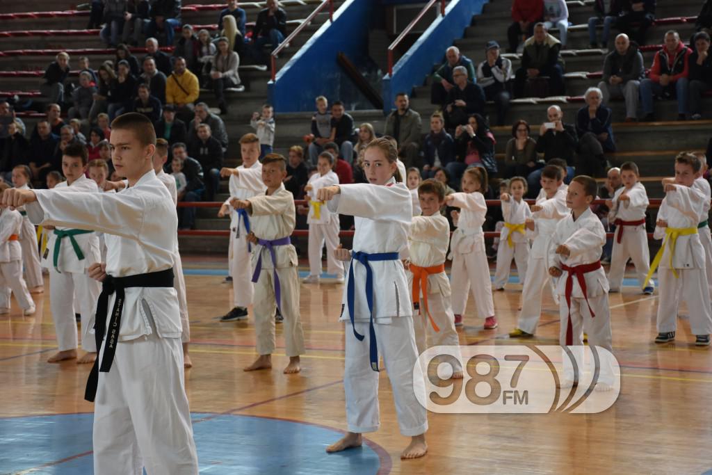 KARATE KLUB PARTIZAN, 40 RODJENDAN (58)