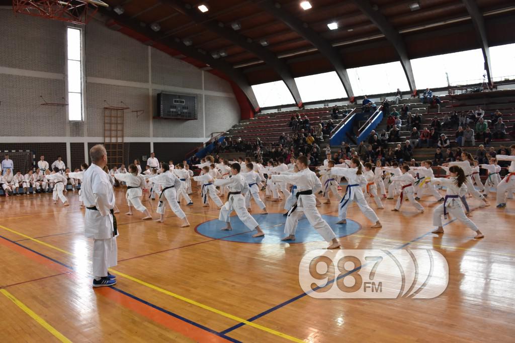 KARATE KLUB PARTIZAN, 40 RODJENDAN (59)