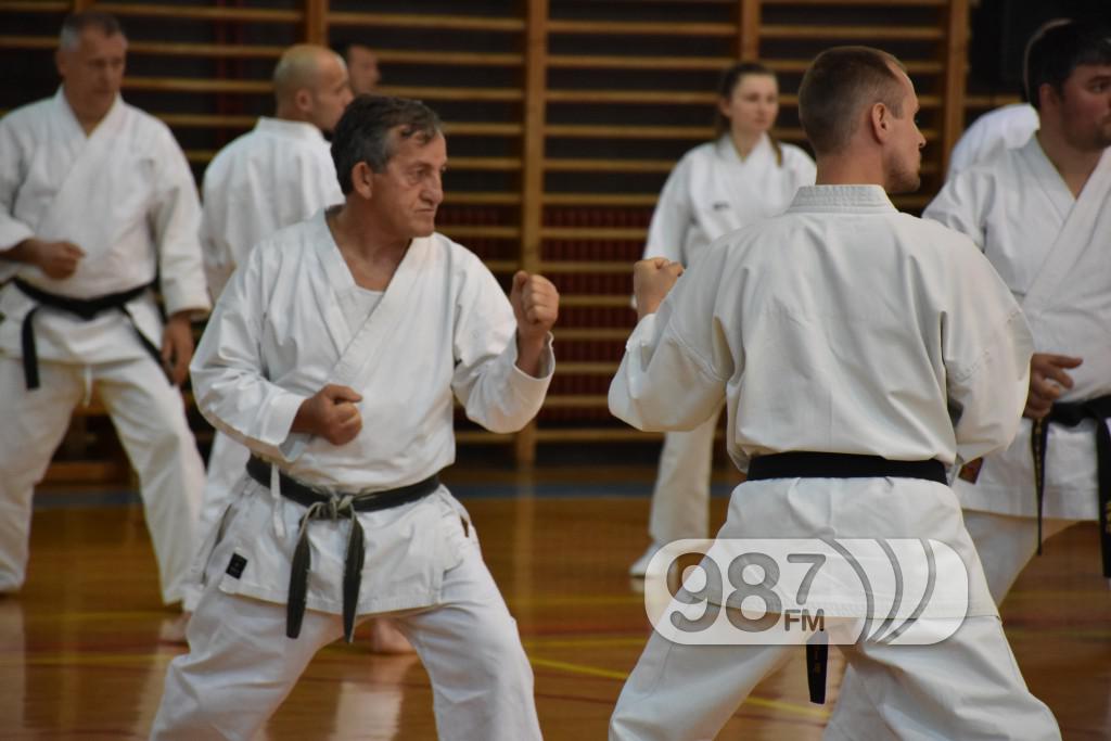 KARATE KLUB PARTIZAN, 40 RODJENDAN (63)