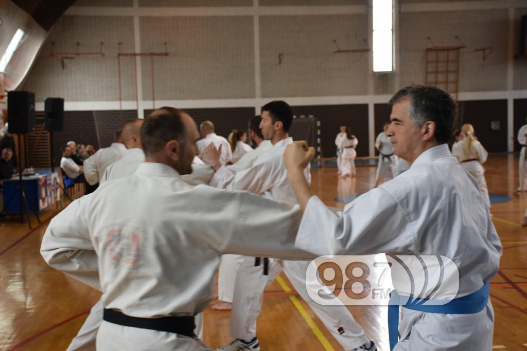 KARATE KLUB PARTIZAN, 40 RODJENDAN (65)