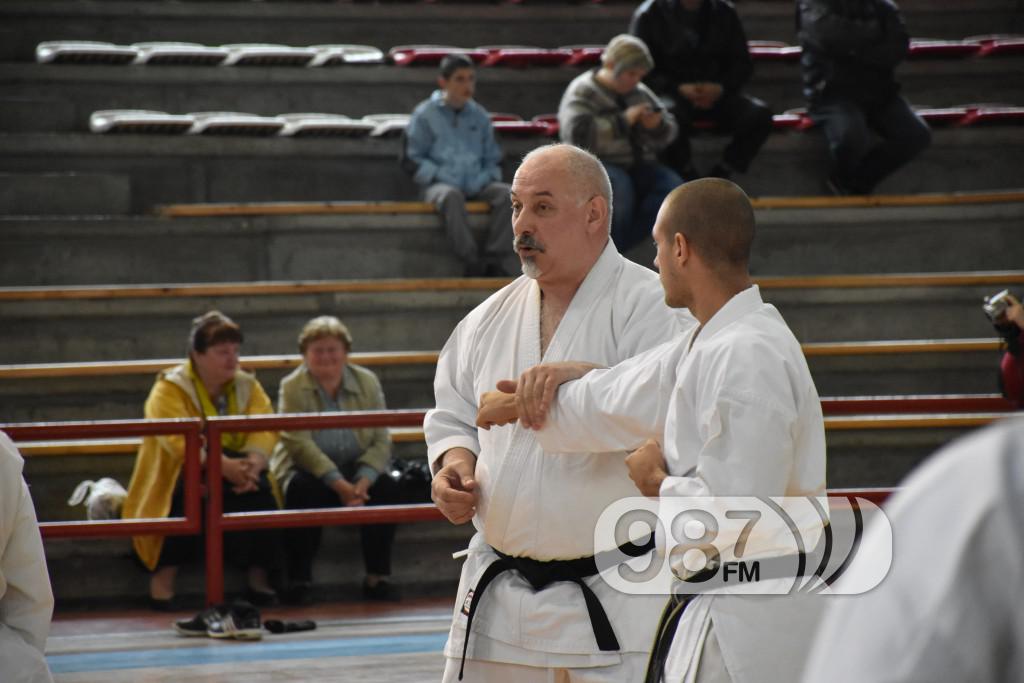 KARATE KLUB PARTIZAN, 40 RODJENDAN (66)