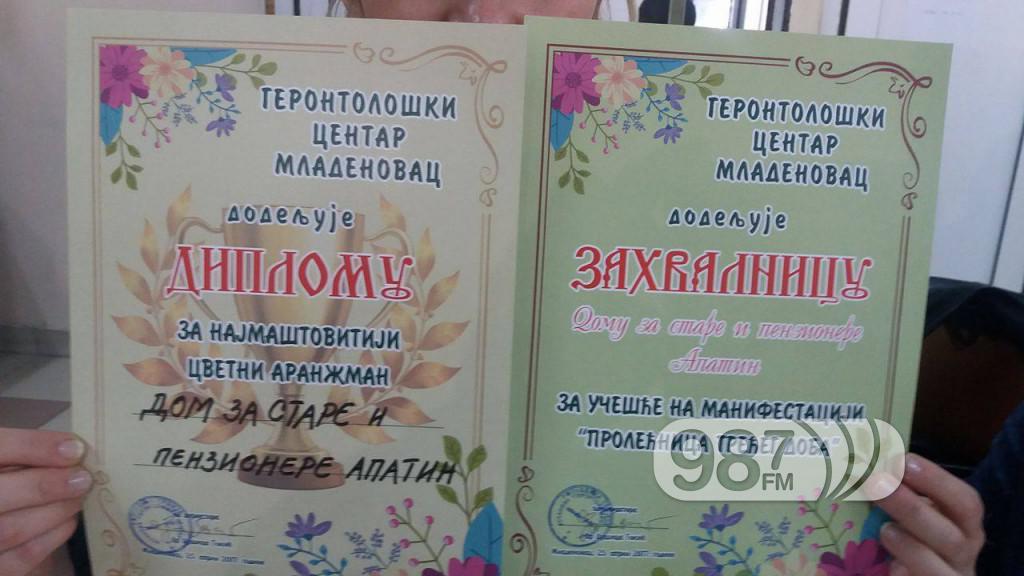 dom za stare, cvece (1)