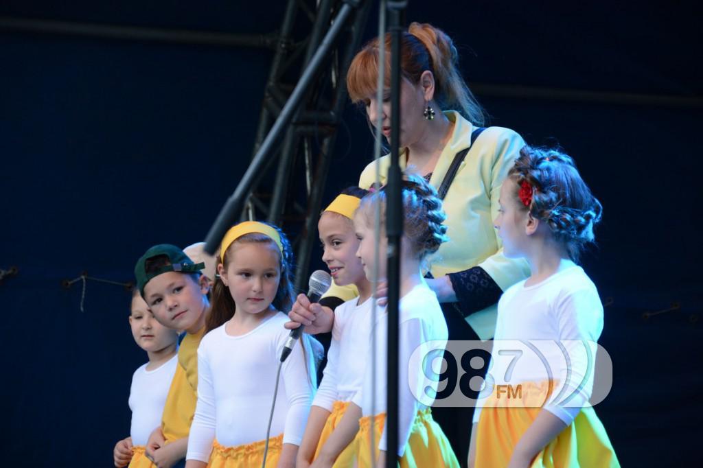 Majske svečanosti Prigrevica 2017 (7)