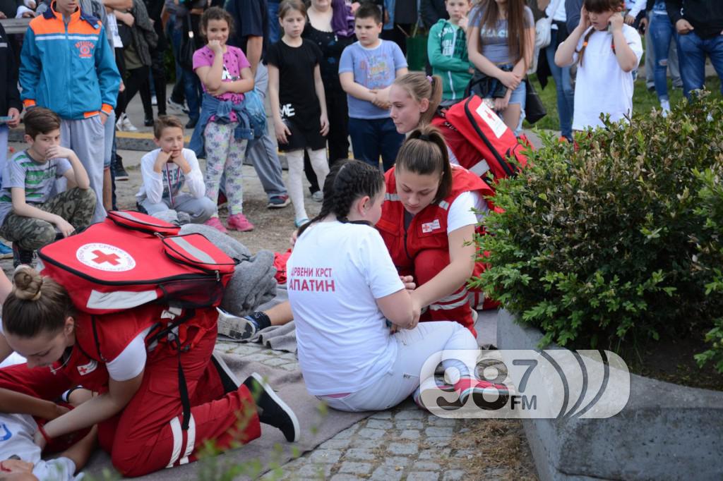 Majske svečanosti Prigrevica 2017 (8)