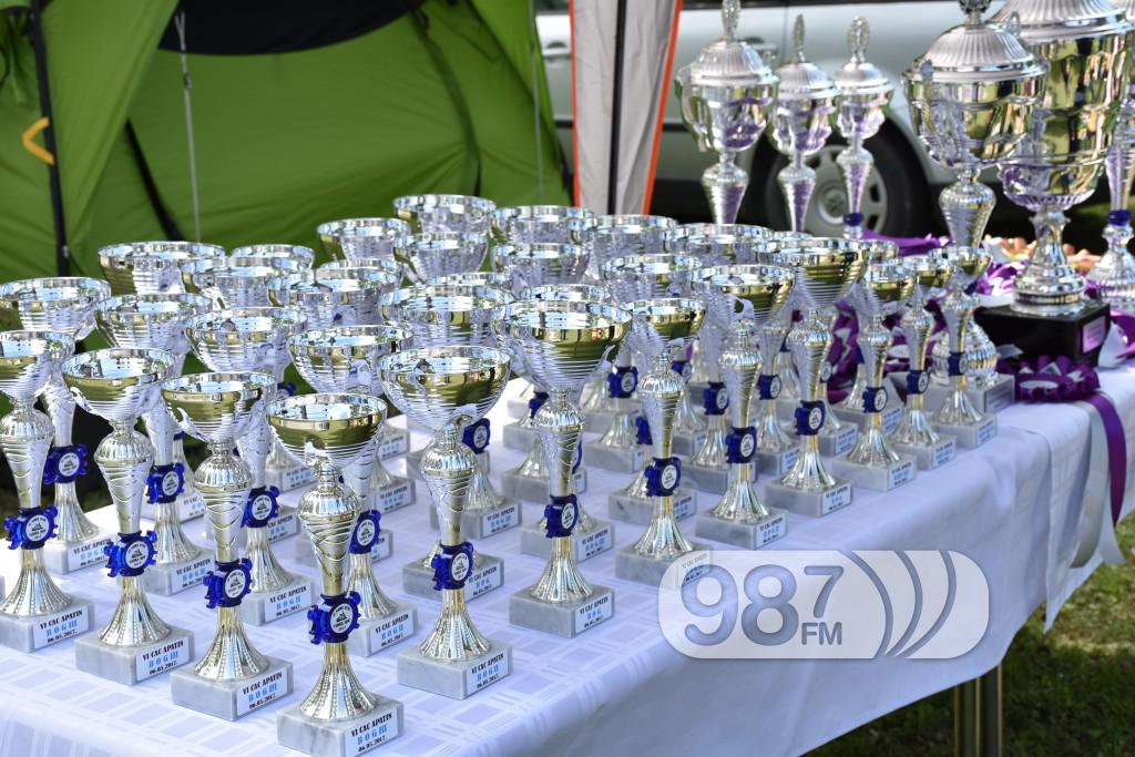 cac, Apatin,2017 maj (13) pas, psi , izložba