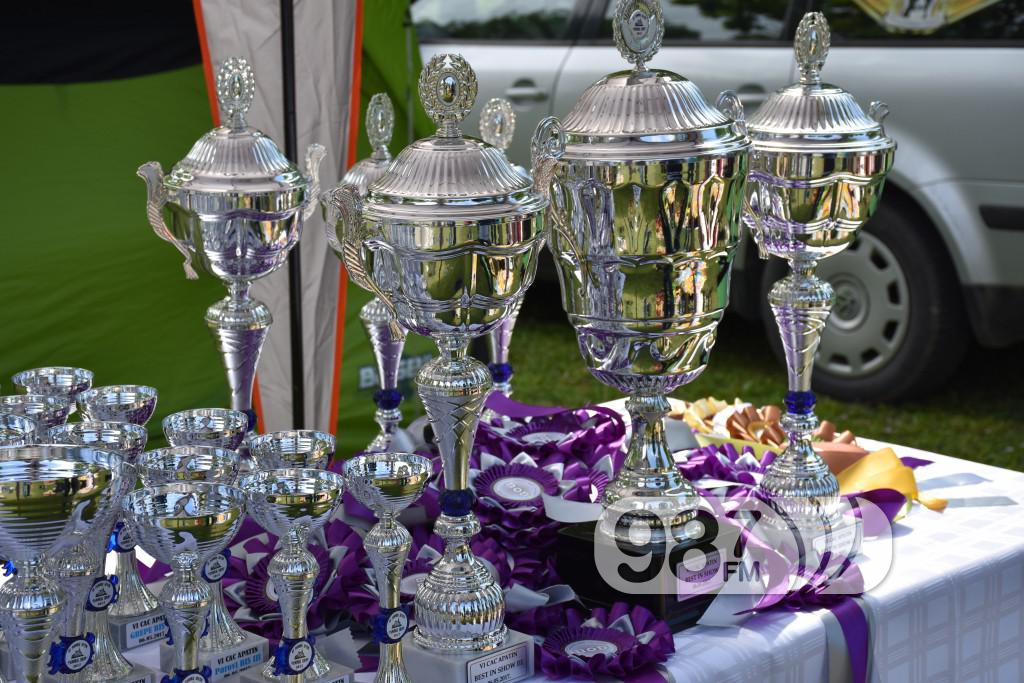 cac, Apatin,2017 maj (14) pas, psi , izložba