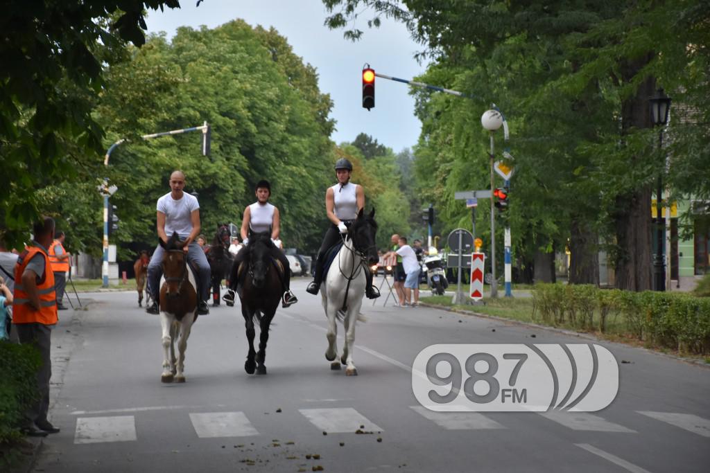 54 Apagtinske ribarske večeri, fijaker kud, nemanja guziijan kotlic, dejan matić grupa gold (163)