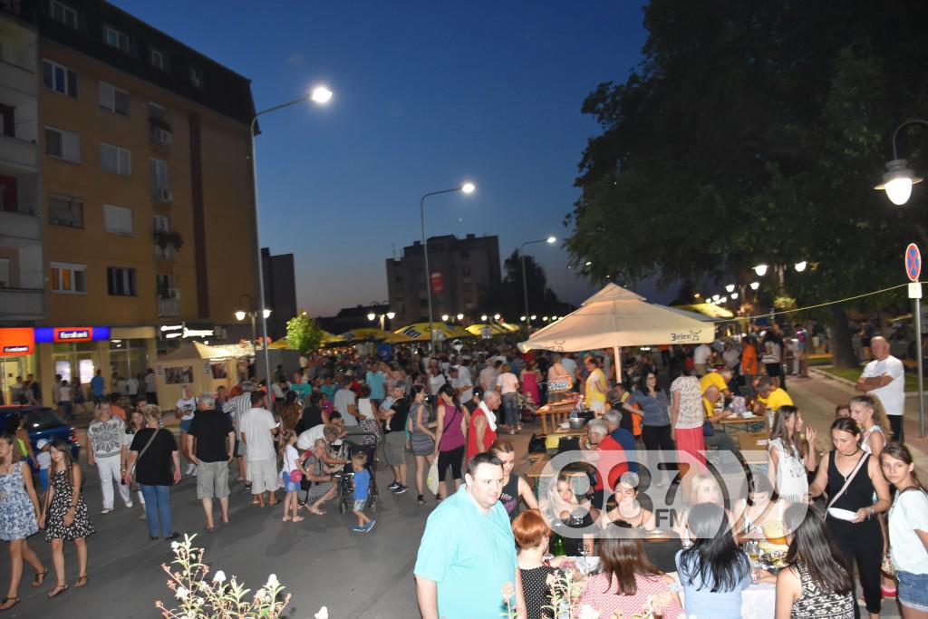 54 apatinske ribarske večeri 2017, ApMadeus bend , Milan Škrbić, (4)
