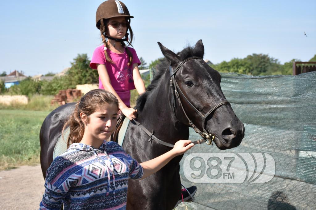 Kamp škole jahanja, Apatin,avgust 2017 (11)