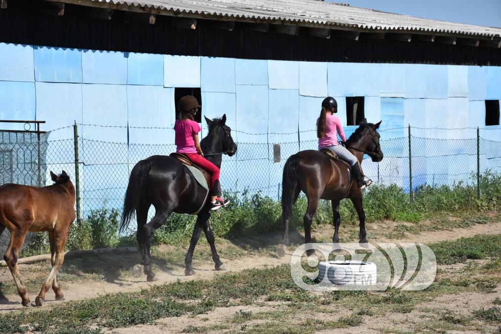 Kamp škole jahanja, Apatin,avgust 2017 (14)