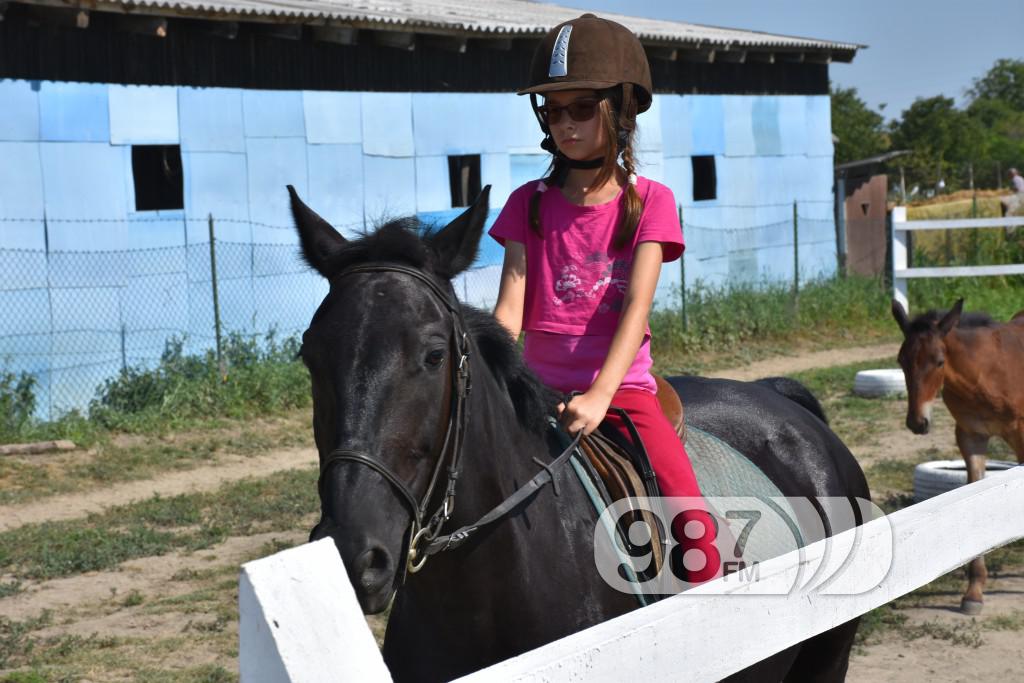 Kamp škole jahanja, Apatin,avgust 2017 (19)