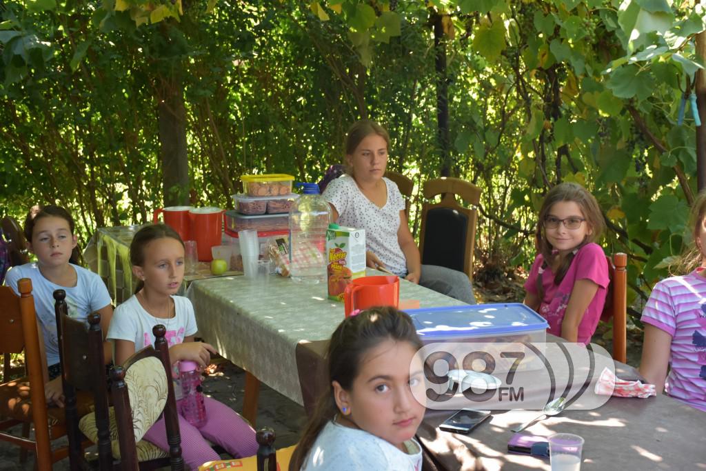 Kamp škole jahanja, Apatin,avgust 2017 (30)