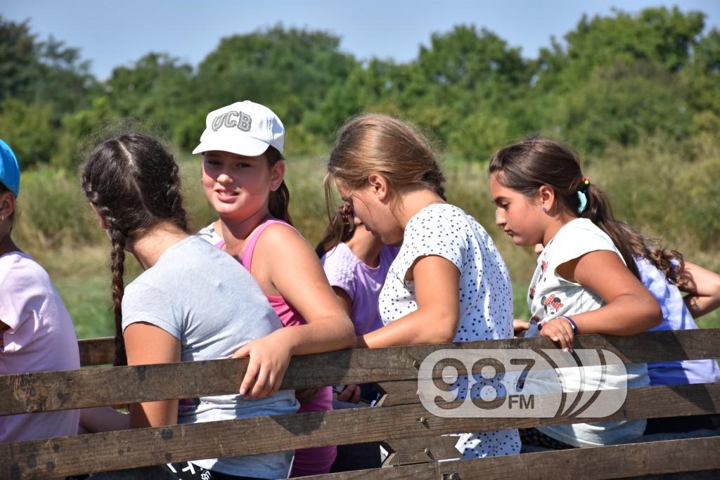 Kamp škole jahanja, Apatin,avgust 2017 (5)