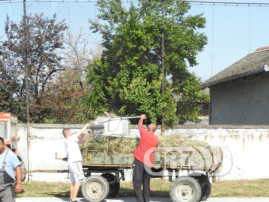 sns apatin, sonta teren, akcija naprednjaka (4)