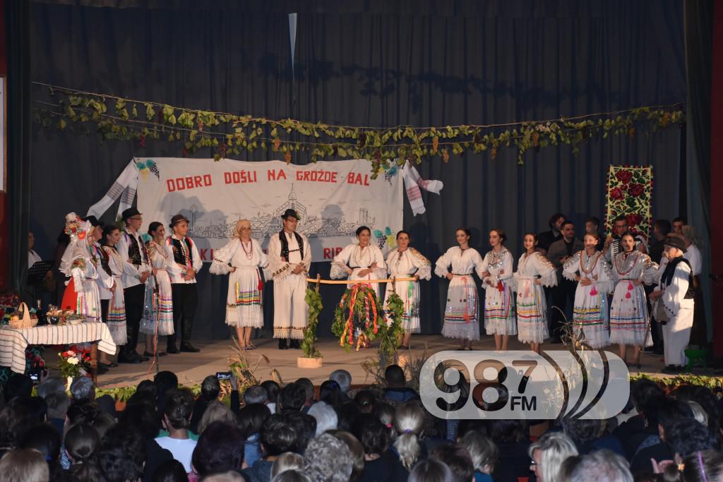 Grozdjebala sonta 2017 (1)