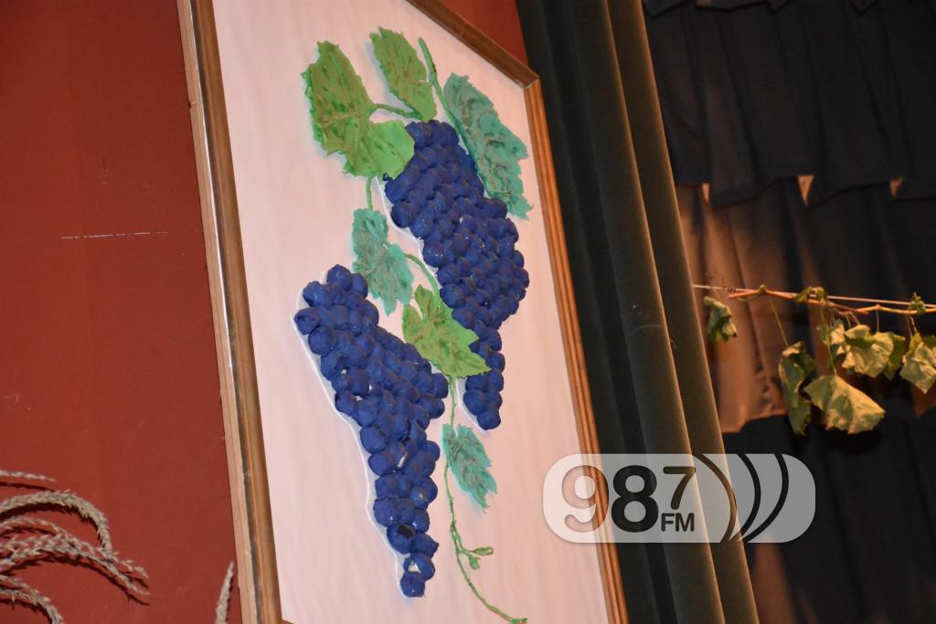 Grozdjebala sonta 2017 (16)