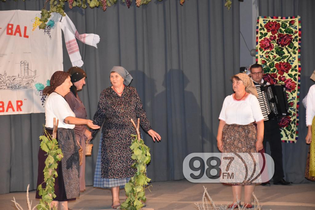 Grozdjebala sonta 2017 (23)