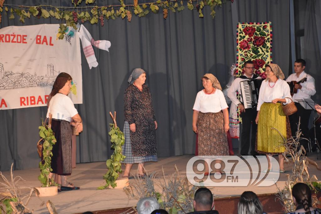 Grozdjebala sonta 2017 (24)