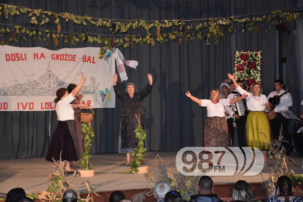 Grozdjebala sonta 2017 (25)