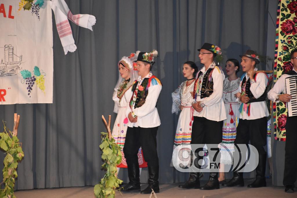 Grozdjebala sonta 2017 (27)