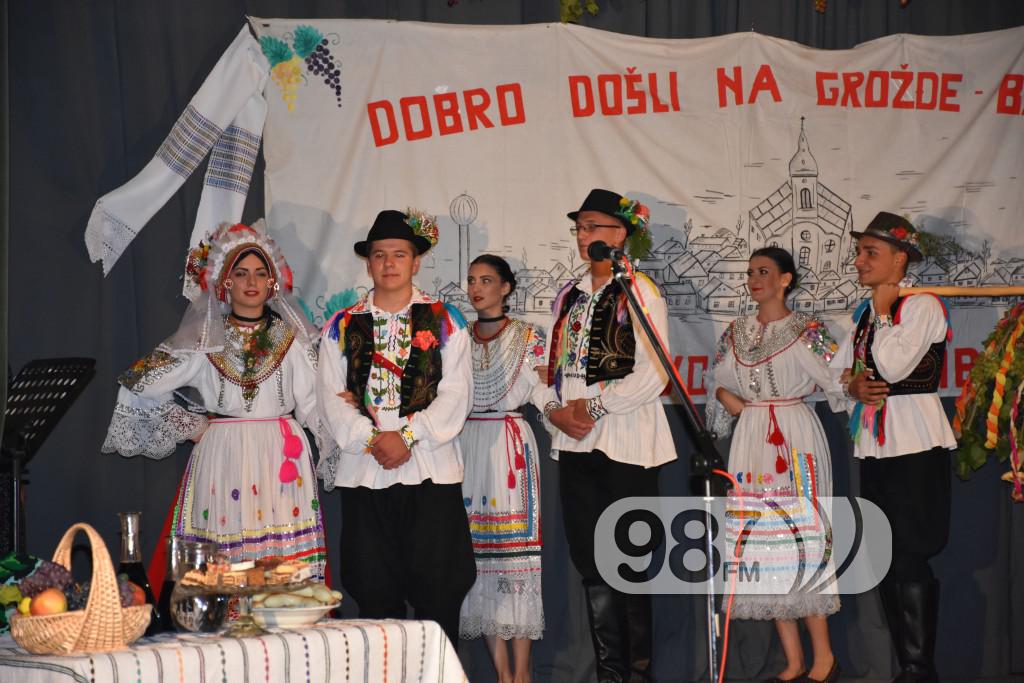 Grozdjebala sonta 2017 (28)