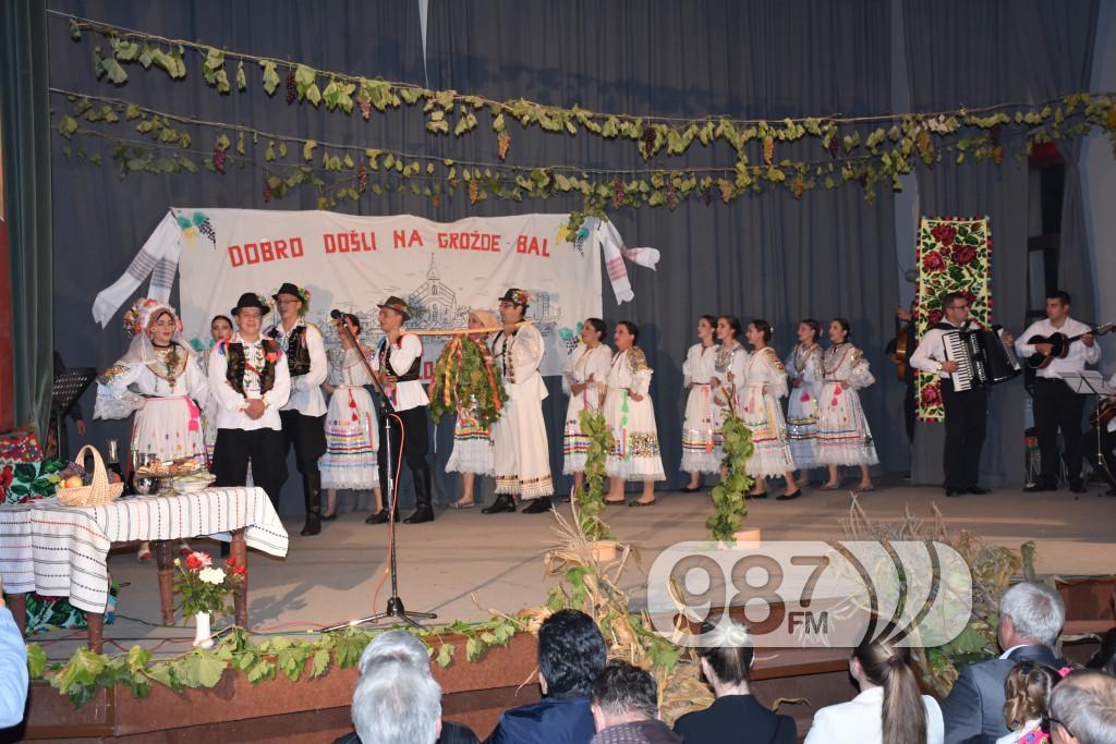 Grozdjebala sonta 2017 (29)