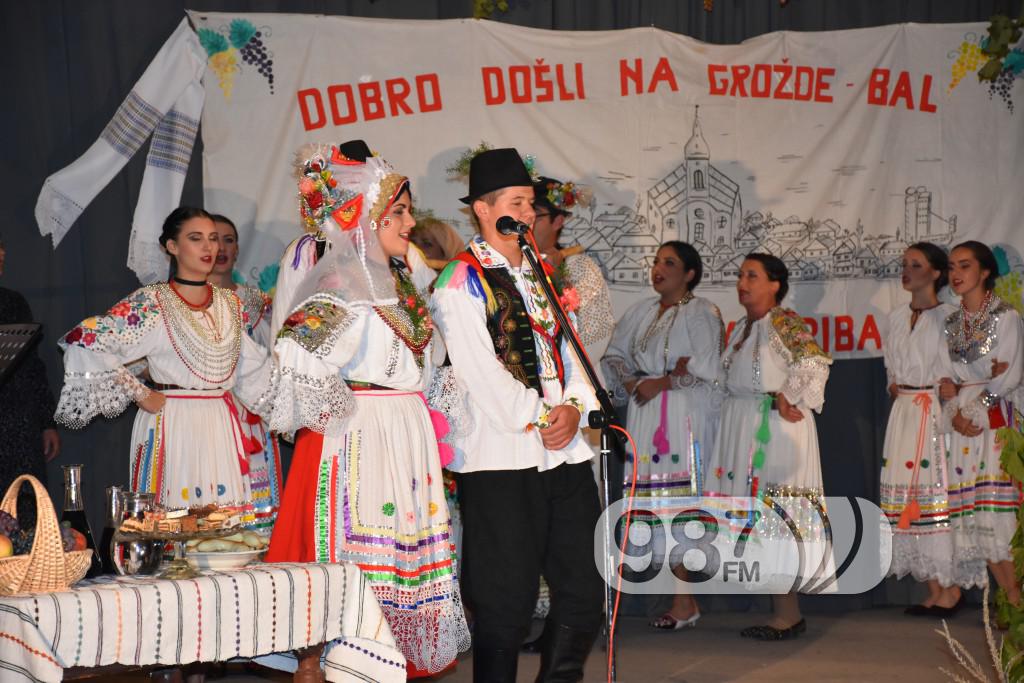 Grozdjebala sonta 2017 (30)