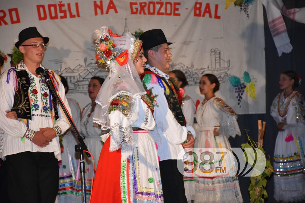 Grozdjebala sonta 2017 (31)