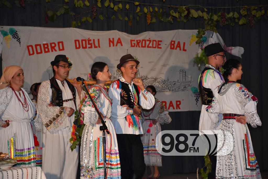 Grozdjebala sonta 2017 (32)