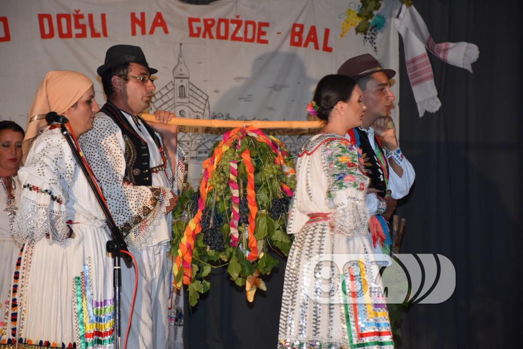 Grozdjebala sonta 2017 (33)