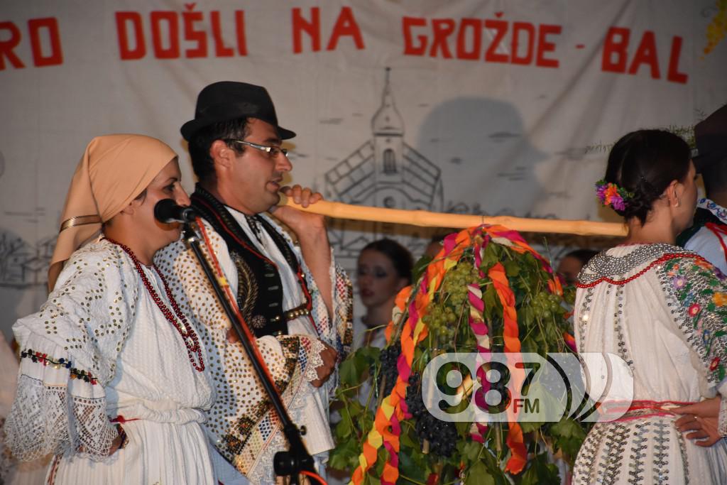 Grozdjebala sonta 2017 (34)