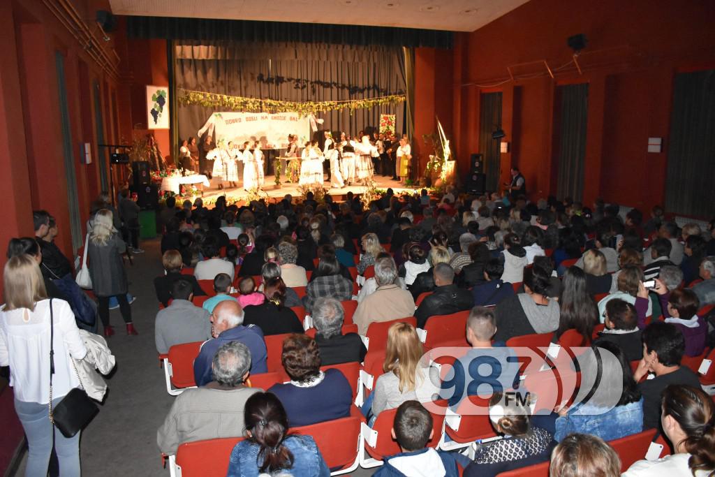 Grozdjebala sonta 2017 (37)