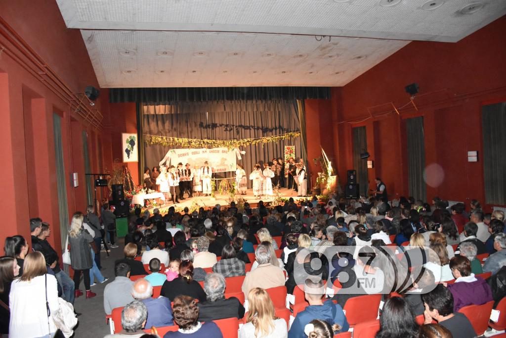 Grozdjebala sonta 2017 (38)