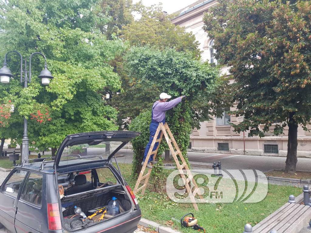 jkp nas dom, orezivanje jelena, skulptura jelena, apatinska pivara, brsljen