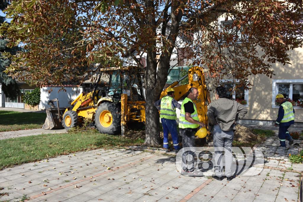 zamena azbestnih cevi u dimitirija tucovica i prigrevackoj (2)