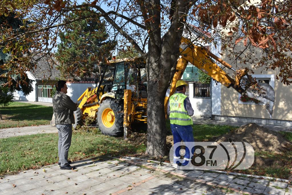 zamena azbestnih cevi u dimitirija tucovica i prigrevackoj (4)