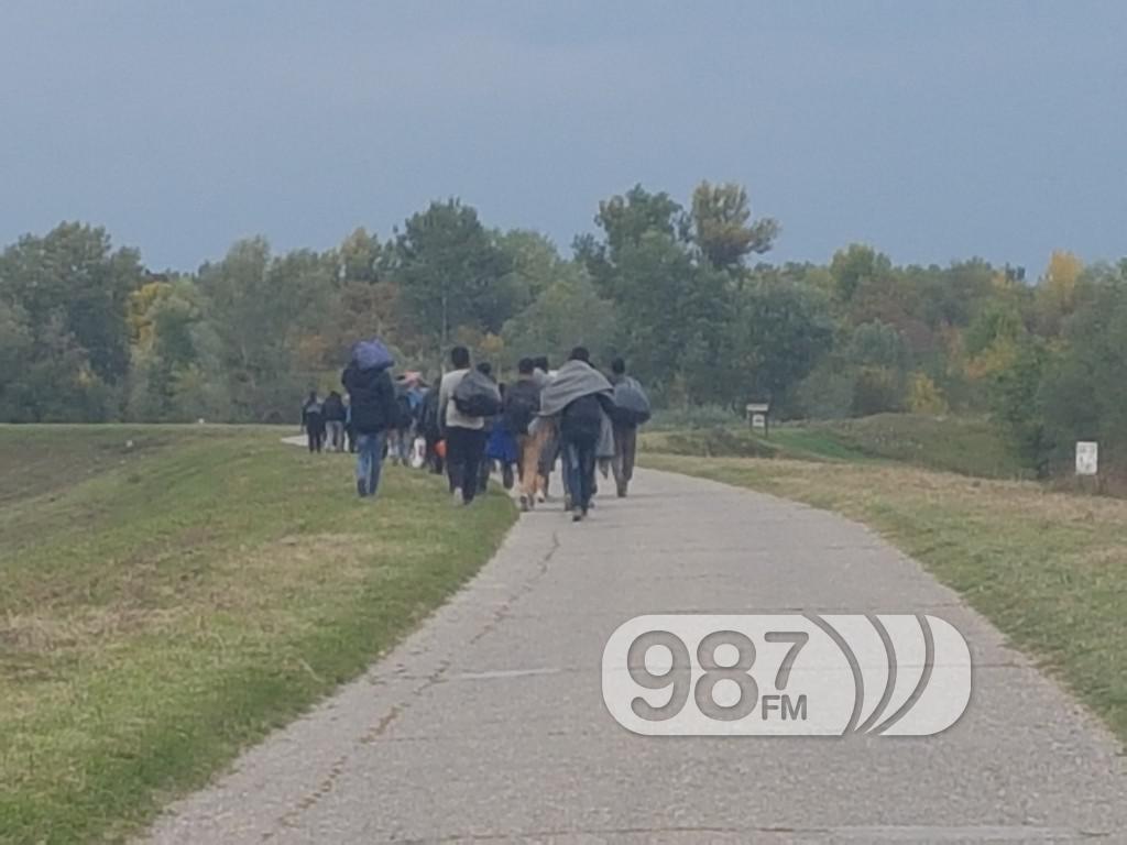 Migranti Apatin, kolona kod Kučke